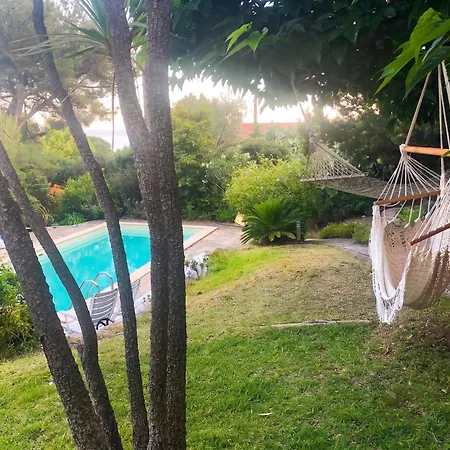 Villa Avec Piscine Pres De Le Lavandou, 160 M²